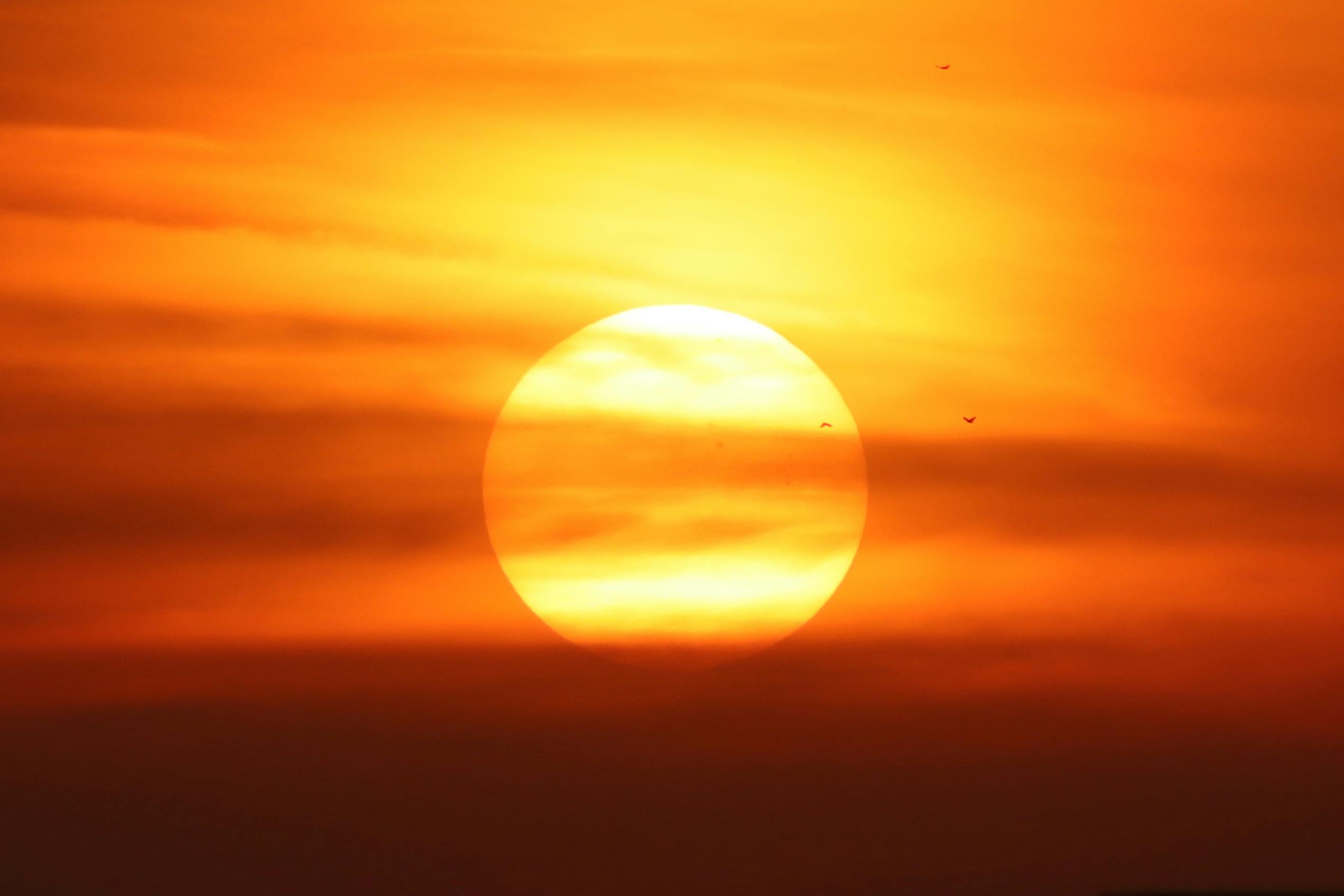 A breathtaking sunset with the sun setting behind clouds and birds flying across the vibrant sky.